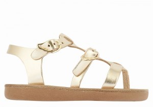 Kids' Ancient Greek Sandals Little Grace Kelly Soft Flat Sandals Gold White | HVS1373NZ