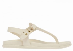 Women Ancient Greek Sandals Alki Flip Flop Back-Strap Sandals White | NAW6025FN