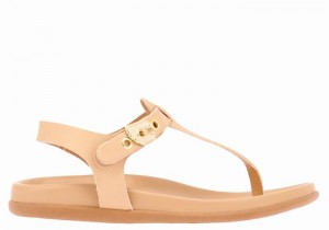 Women Ancient Greek Sandals Alki Flip Flop Back-Strap Sandals Beige | YKI5941DD