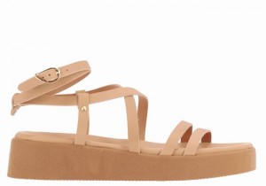 Women Ancient Greek Sandals Aristea Leather Platform Sandals Beige | AEZ823SV