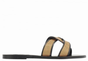 Women Ancient Greek Sandals Desmos Slide Sandals Brown Black | JKC1220WH