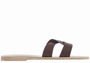 Women Ancient Greek Sandals Desmos Slide Sandals Coffee | SRF7041ZM