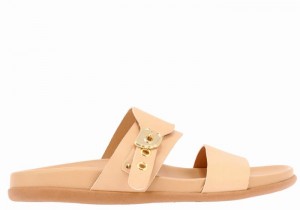 Women Ancient Greek Sandals Latria Slide Sandals Beige | TGS8547ZK