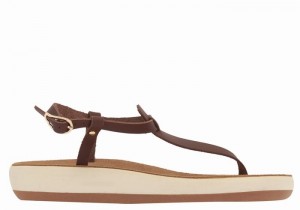 Women Ancient Greek Sandals Lito Comfort Back-Strap Sandals Coffee | AFG4916JT