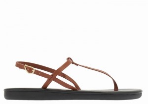 Women Ancient Greek Sandals Lito Flip Flop Back-Strap Sandals Dark Brown | SXA7868PZ