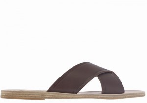 Women Ancient Greek Sandals Thais Slide Sandals Coffee | SDP10074XY