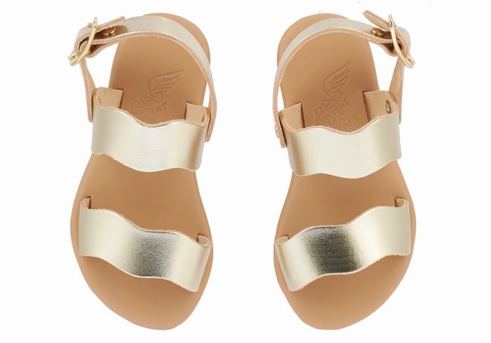 Kids' Ancient Greek Sandals Little Calamos Soft Casual Sandals Gold White | SXL8541VA