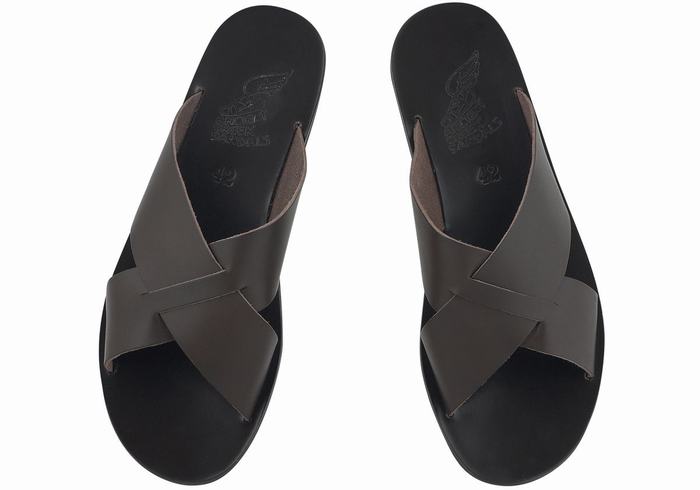 Men Ancient Greek Sandals Bios Slide Sandals Chocolate | ZHQ7313NT