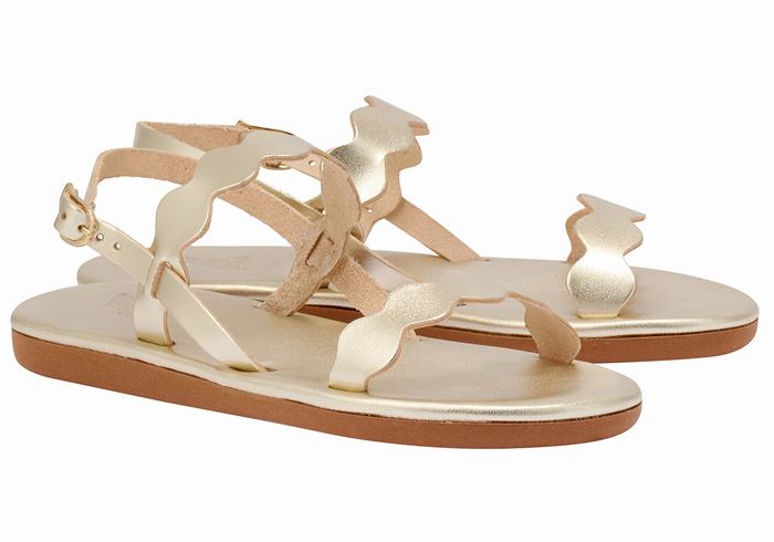 Women Ancient Greek Sandals Afros Back-Strap Sandals Gold White | VFG244UF