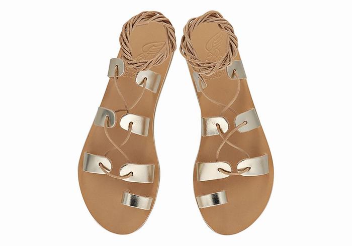 Women Ancient Greek Sandals Alcyone Leather Gladiator Sandals Gold White | PFQ2582OS