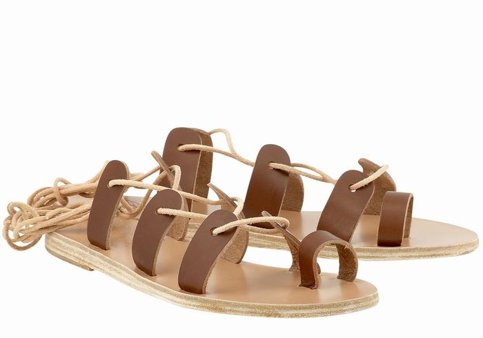 Women Ancient Greek Sandals Alcyone Leather Gladiator Sandals Dark Brown | RGR244XO