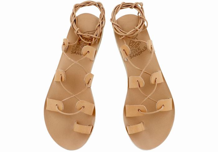 Women Ancient Greek Sandals Alcyone Leather Gladiator Sandals Beige | EXH7334LE