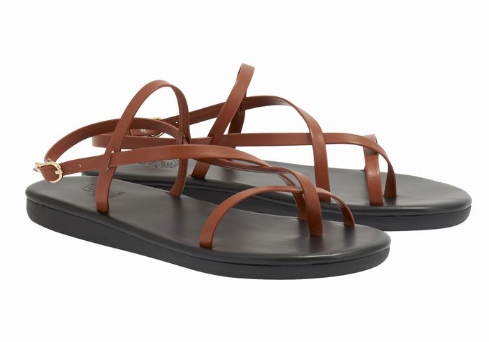 Women Ancient Greek Sandals Alethea Back-Strap Sandals Dark Brown | OSG847OO