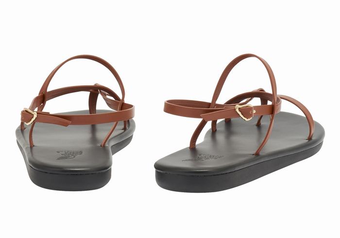 Women Ancient Greek Sandals Alethea Back-Strap Sandals Dark Brown | OSG847OO