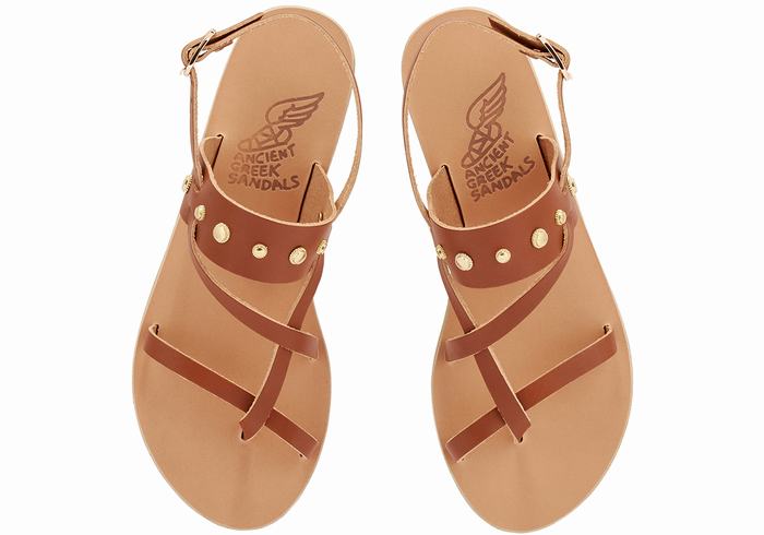 Women Ancient Greek Sandals Alethea Bee Back-Strap Sandals Dark Brown | BTL4949VM