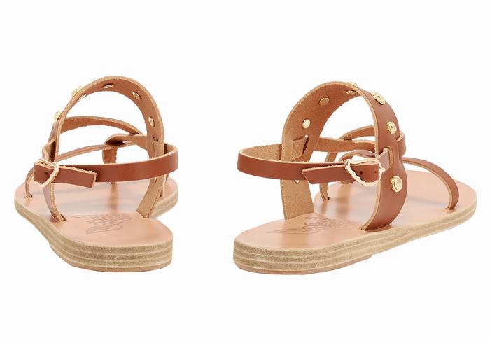 Women Ancient Greek Sandals Alethea Bee Back-Strap Sandals Dark Brown | BTL4949VM