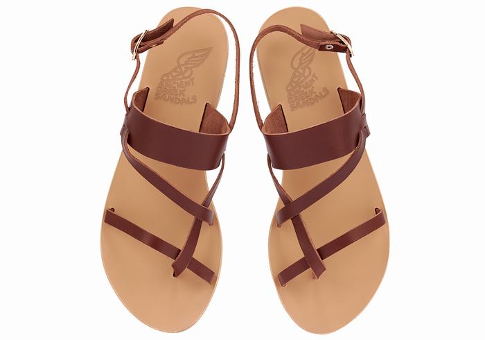 Women Ancient Greek Sandals Alethea Leather Back-Strap Sandals Coffee | SAP195BB