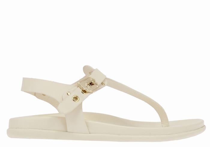 Women Ancient Greek Sandals Alki Flip Flop Back-Strap Sandals White | NAW6025FN