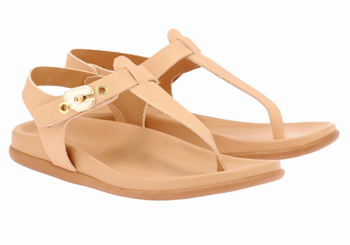 Women Ancient Greek Sandals Alki Flip Flop Back-Strap Sandals Beige | YKI5941DD