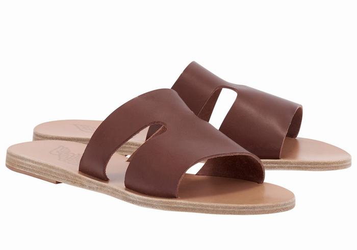 Women Ancient Greek Sandals Apteros Slide Sandals Coffee | OJQ145XD