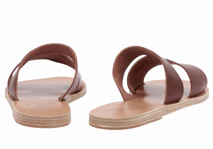 Women Ancient Greek Sandals Apteros Slide Sandals Coffee | OJQ145XD