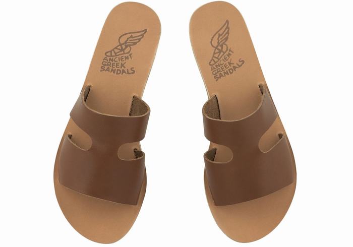 Women Ancient Greek Sandals Apteros Slide Sandals Dark Brown | ASL3033AZ