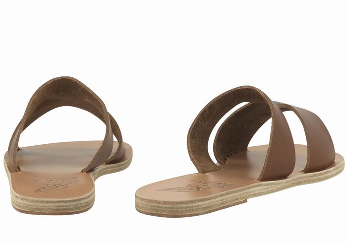 Women Ancient Greek Sandals Apteros Slide Sandals Dark Brown | ASL3033AZ