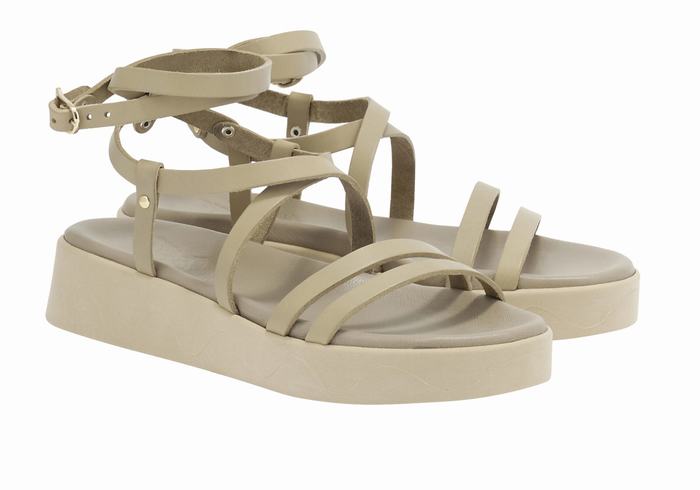 Women Ancient Greek Sandals Aristea Leather Platform Sandals Grey Brown | XSJ2316YV