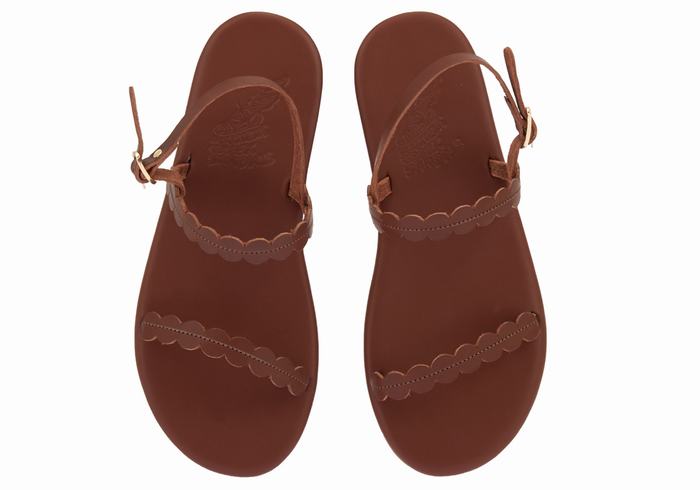 Women Ancient Greek Sandals Aroula Back-Strap Sandals Coffee | OSN10027AT