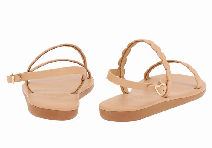 Women Ancient Greek Sandals Aroula Back-Strap Sandals Beige | FWF9062UP