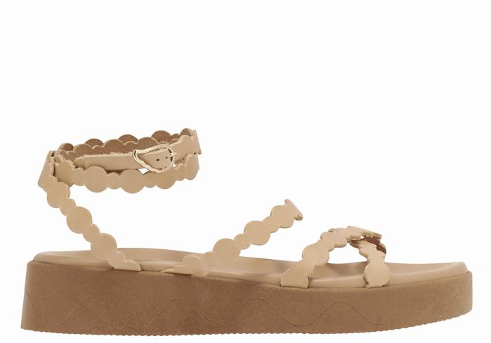 Women Ancient Greek Sandals Aspis Leather Platform Sandals Beige | OTR95100ZN