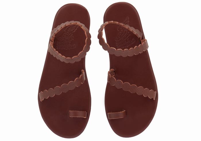 Women Ancient Greek Sandals Aura Toe-Post Sandals Coffee | QOG4956ID