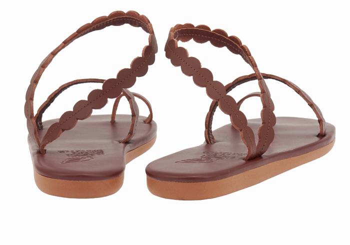 Women Ancient Greek Sandals Aura Toe-Post Sandals Coffee | QOG4956ID