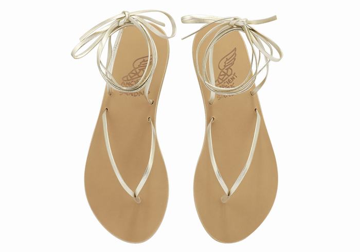 Women Ancient Greek Sandals Celia Gladiator Sandals Gold White | BDL4869LN