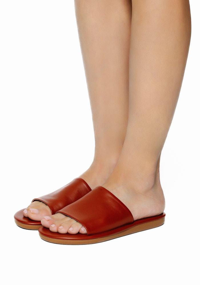 Women Ancient Greek Sandals Cerastes Slide Sandals Dark Brown | CHZ8026TQ