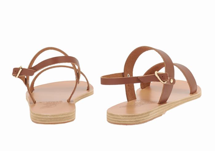 Women Ancient Greek Sandals Clio Back-Strap Sandals Dark Brown | XNE8491FE