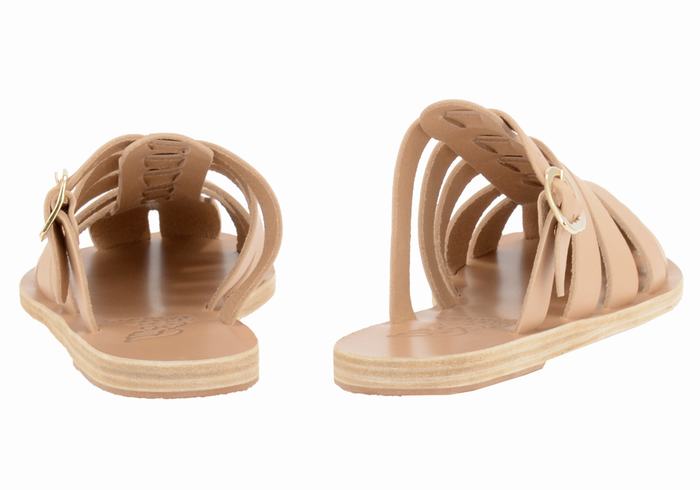 Women Ancient Greek Sandals Cosmia Fisherman Sandals Beige | JOB5679PN