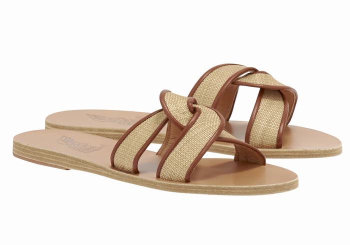 Women Ancient Greek Sandals Desmos Slide Sandals Beige Brown | MNS4781HW