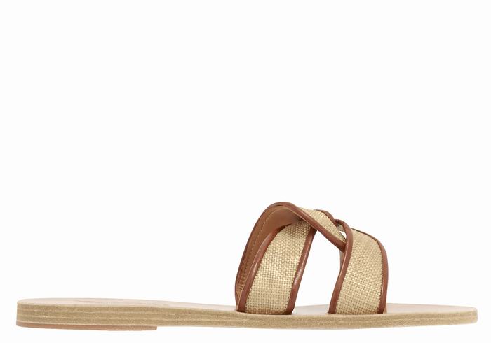 Women Ancient Greek Sandals Desmos Slide Sandals Beige Brown | MNS4781HW