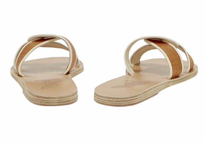 Women Ancient Greek Sandals Desmos Slide Sandals Brown White | NWW9964FK