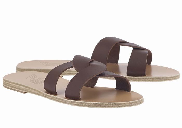 Women Ancient Greek Sandals Desmos Slide Sandals Coffee | SRF7041ZM