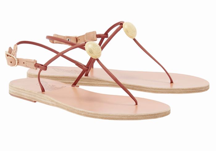 Women Ancient Greek Sandals Dimitra Flip Flop Back-Strap Sandals Red | OWC7696IY