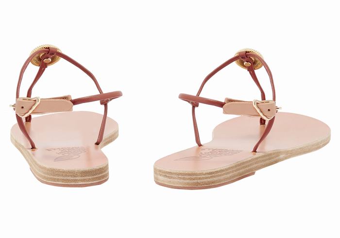 Women Ancient Greek Sandals Dimitra Flip Flop Back-Strap Sandals Red | OWC7696IY