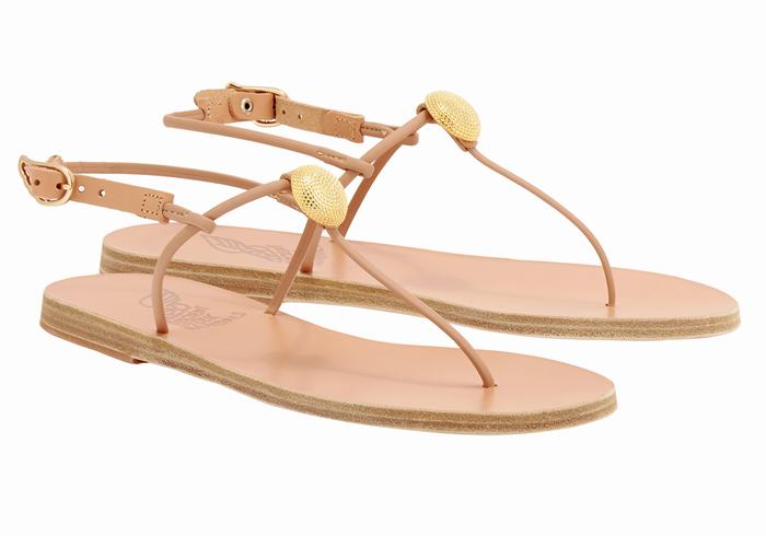 Women Ancient Greek Sandals Dimitra Flip Flop Back-Strap Sandals Beige | QBG8123AS