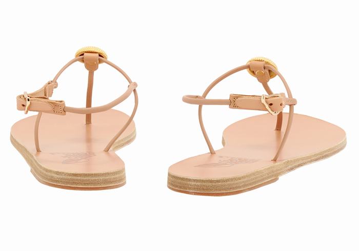 Women Ancient Greek Sandals Dimitra Flip Flop Back-Strap Sandals Beige | QBG8123AS