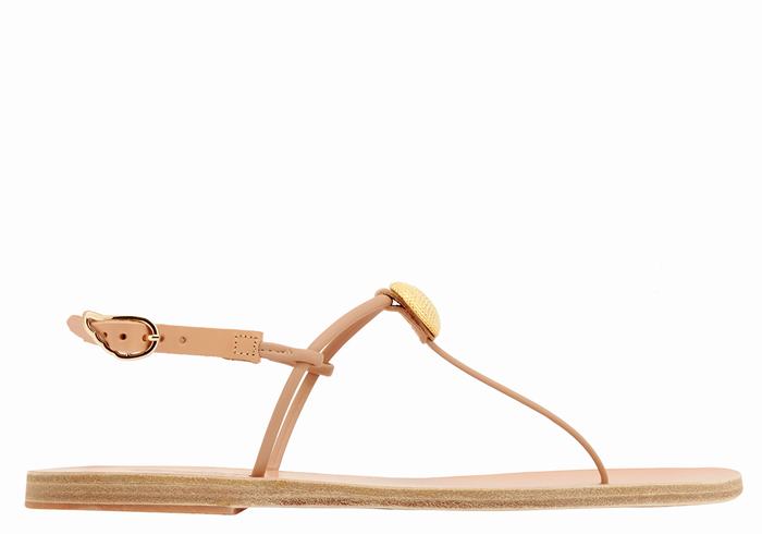 Women Ancient Greek Sandals Dimitra Flip Flop Back-Strap Sandals Beige | QBG8123AS