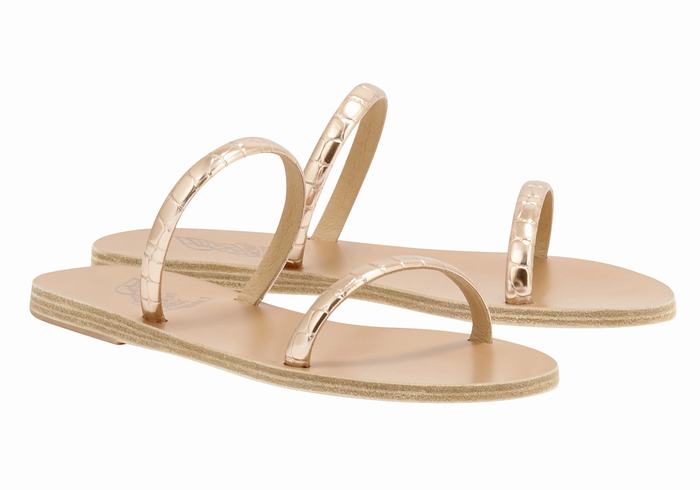 Women Ancient Greek Sandals Echidna Slide Sandals Rose Gold | SYM842DD