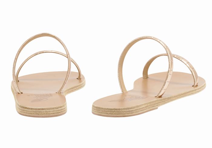 Women Ancient Greek Sandals Echidna Slide Sandals Rose Gold | SYM842DD