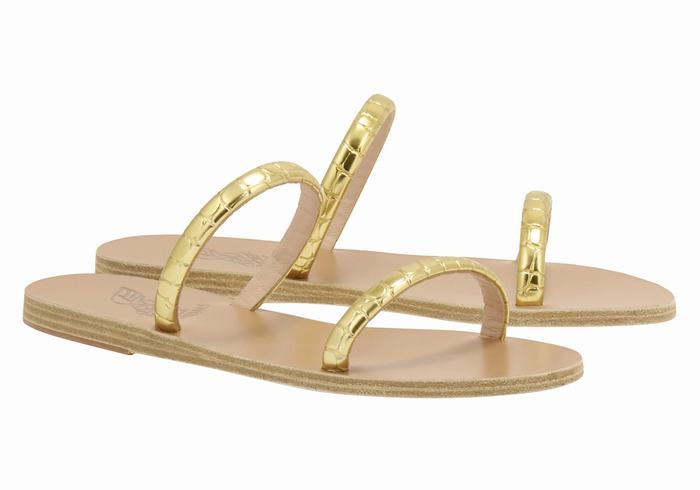 Women Ancient Greek Sandals Echidna Slide Sandals Gold | KVG2557GX