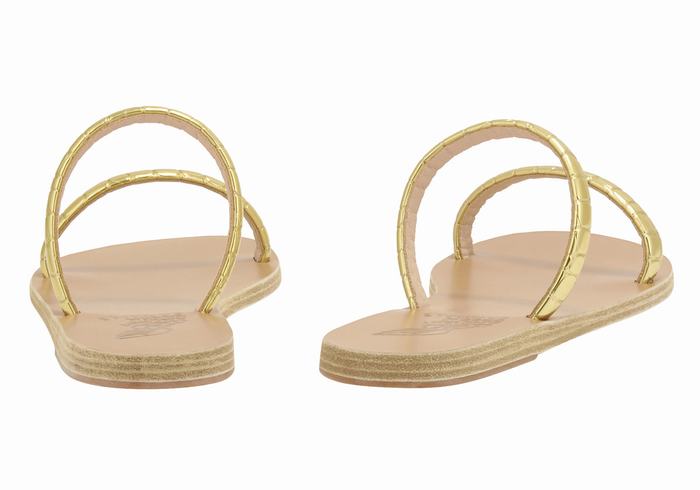 Women Ancient Greek Sandals Echidna Slide Sandals Gold | KVG2557GX